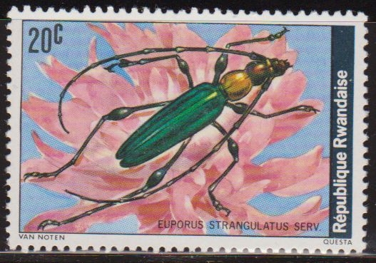 z vendido Ruanda 1978 Scott 828 Sello ** Fauna Insectos Euporus Strangulatus 20c Rwanda 
